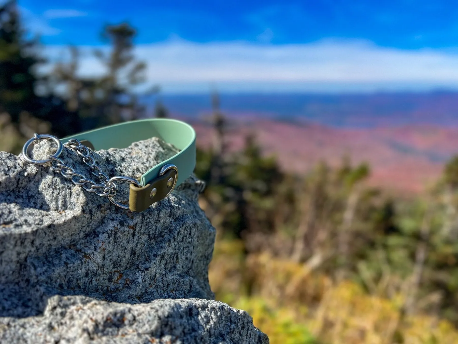 1.5" Width BioThane® Martingale Collar