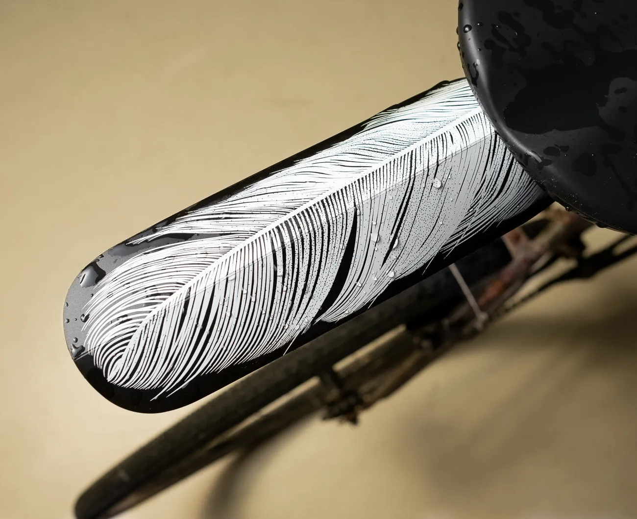 ASR  Feather