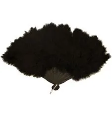 Black Fan