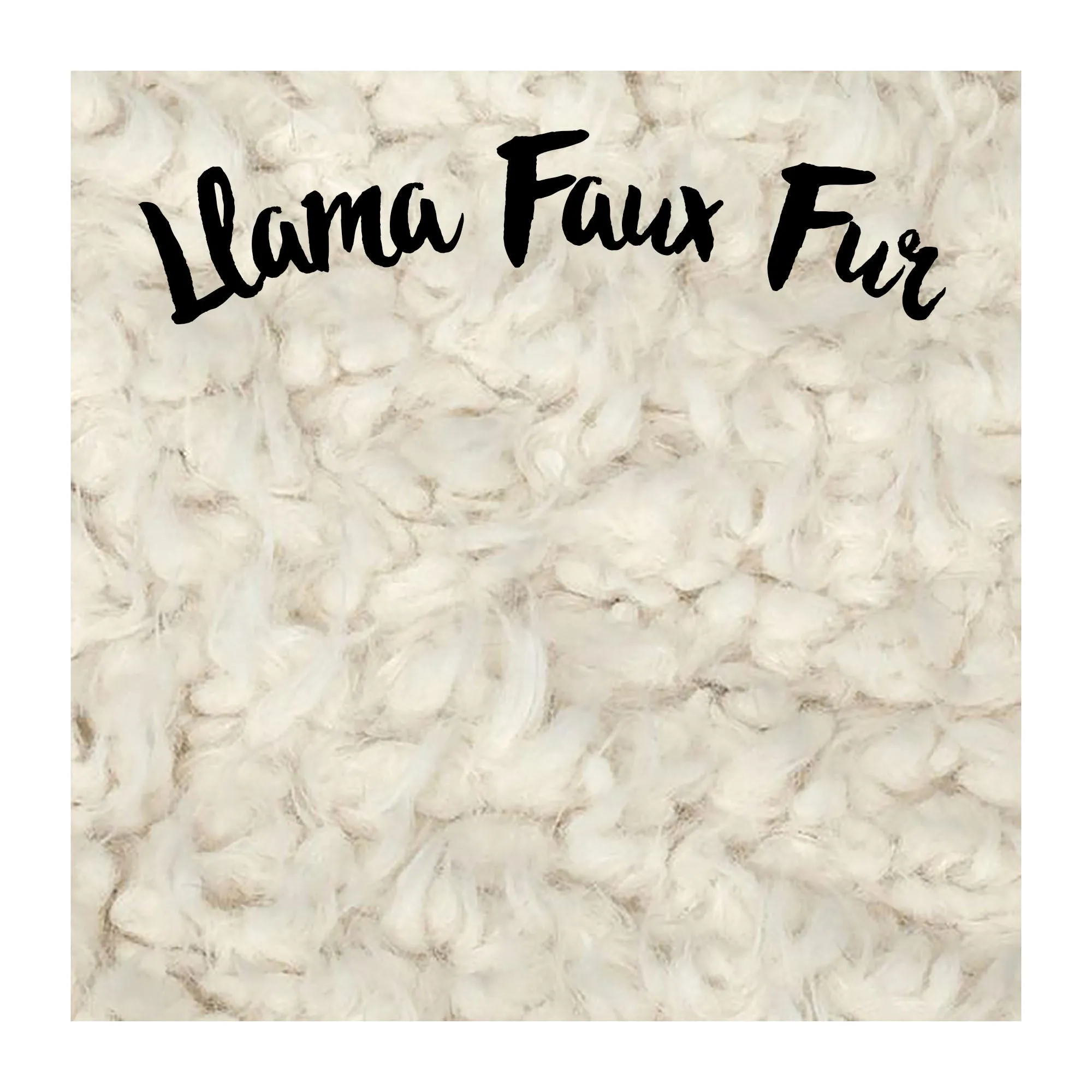 Double Minky Blanket - Feathers