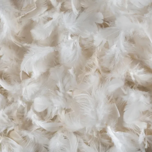 Down feather Pillow insert MADE IN USA: 24X24