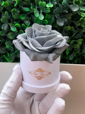 Grey Classic Micro Mini - White Box
