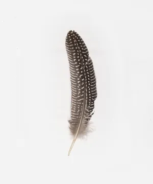 Guinea Rounds Hat Feather