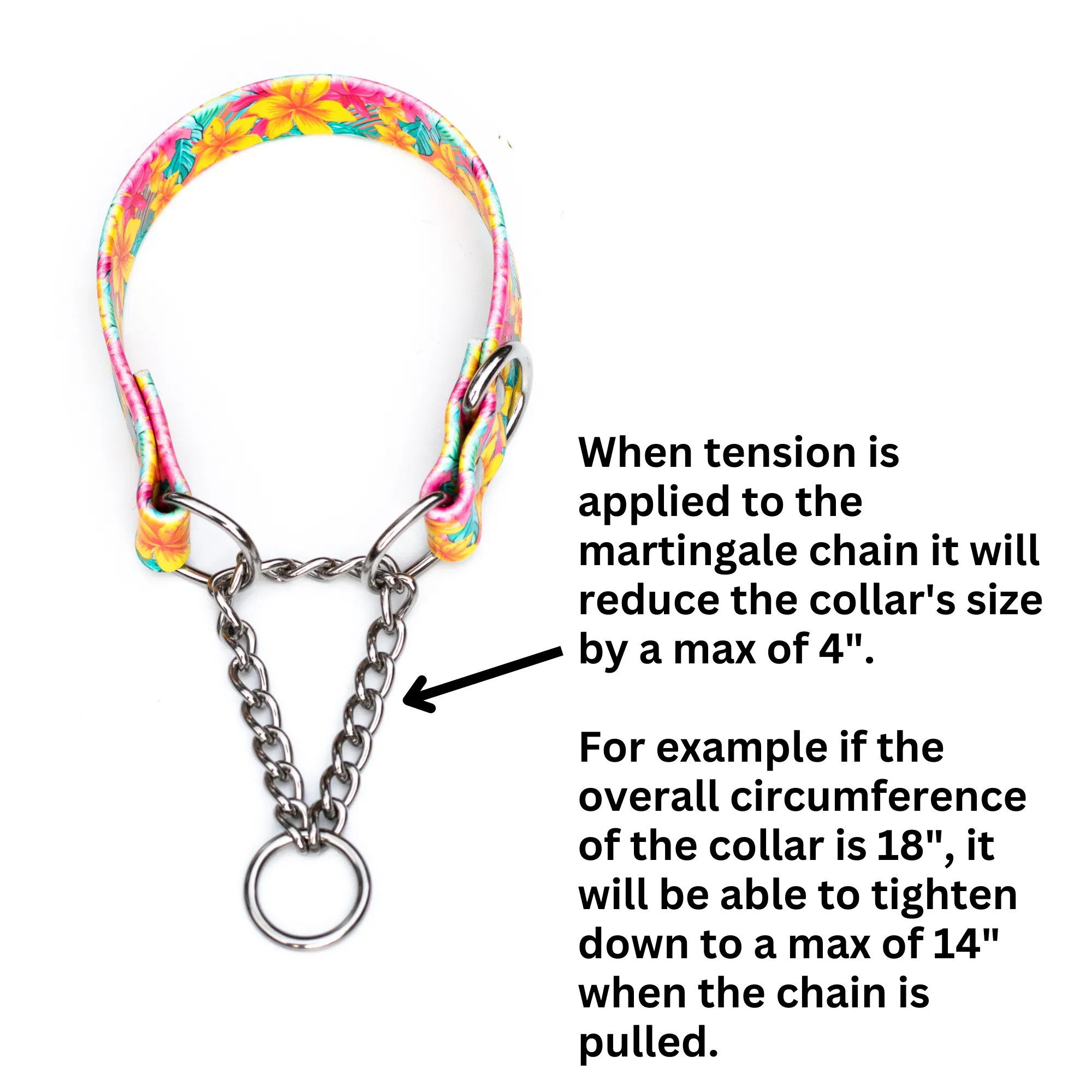 Patterned 1" Width BioThane® Martingale Collars