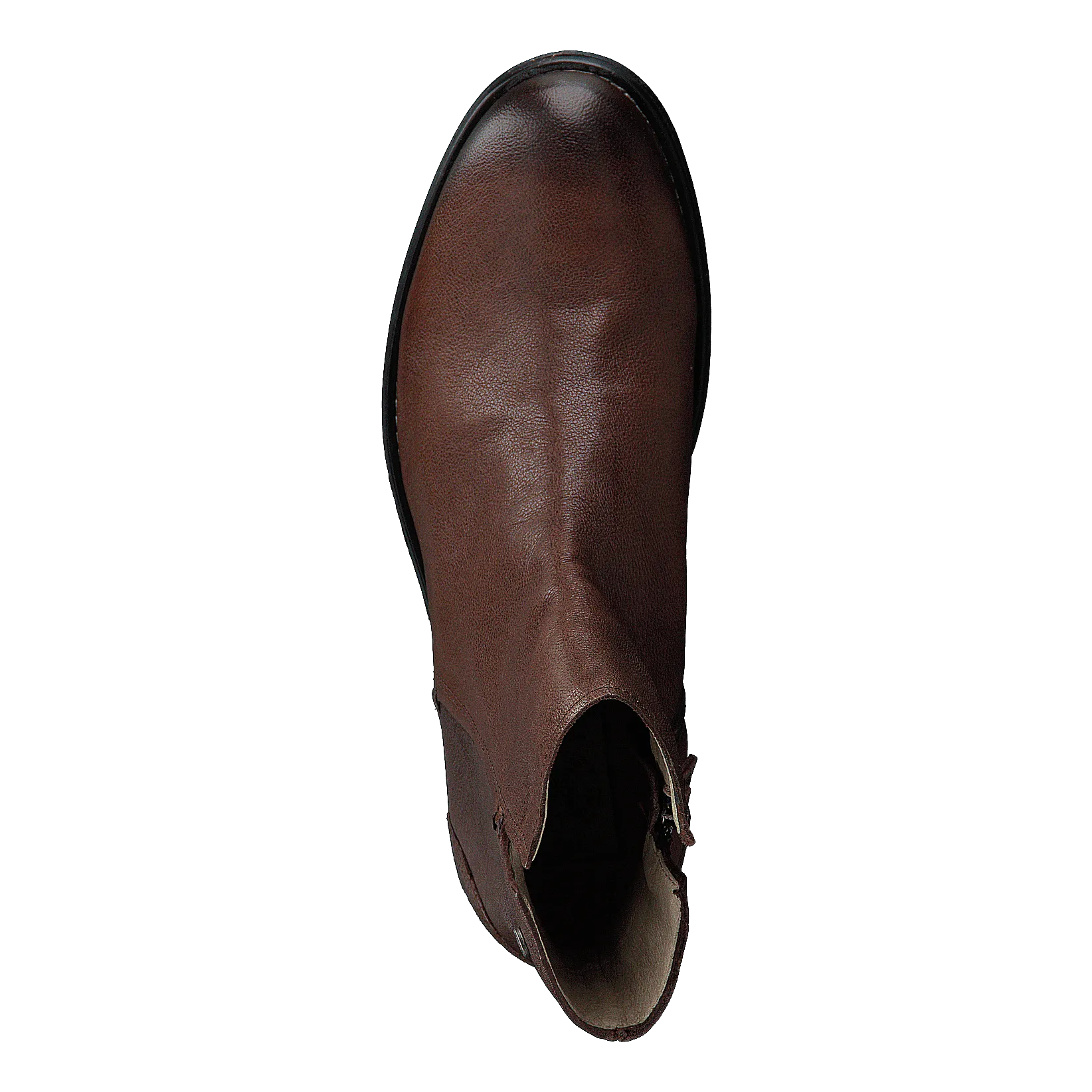 Shady Brown Eco