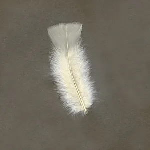 Turkey Feather Flats Dyed - Eggshell
