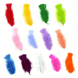 TURKEY FEATHER FLATS MIX DYE - ASSORTED